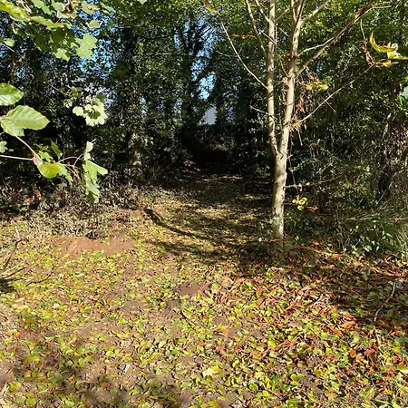 The Greenacre House * Cashel (Tipperary)