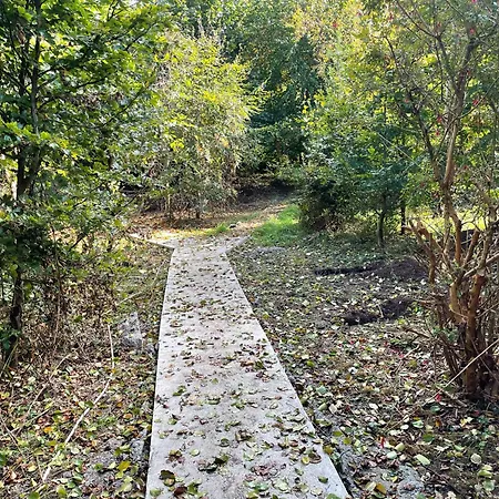 Σπίτι διακοπών The Greenacre House