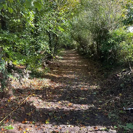The Greenacre House Σπίτι διακοπών Cashel (Tipperary)