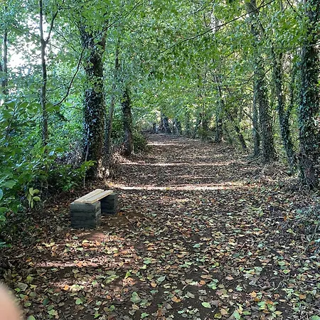 Σπίτι διακοπών The Greenacre House Cashel (Tipperary)