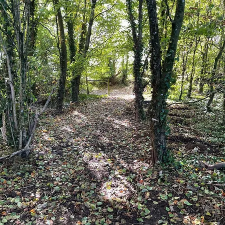 The Greenacre House *