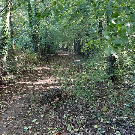 Σπίτι διακοπών The Greenacre House *