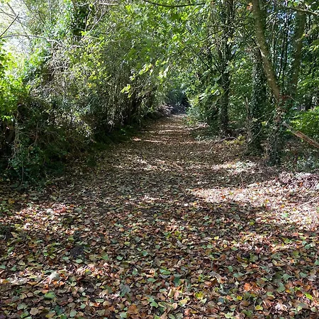 The Greenacre House *