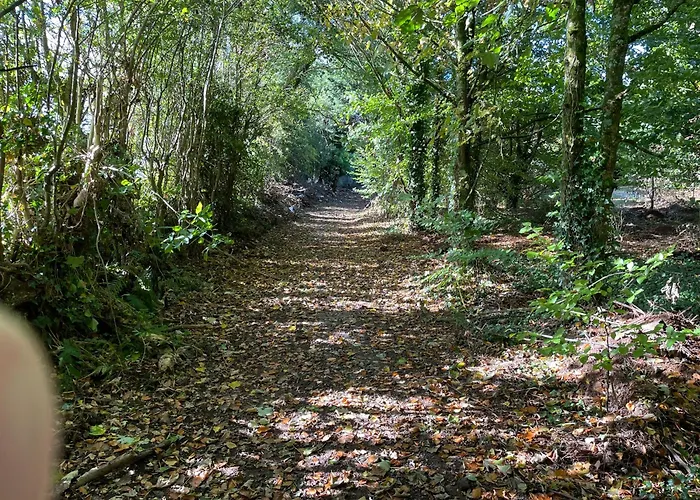 The Greenacre House 펜션