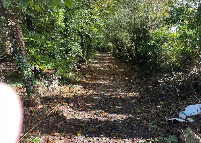 The Greenacre House Feriehus Cashel (Tipperary)