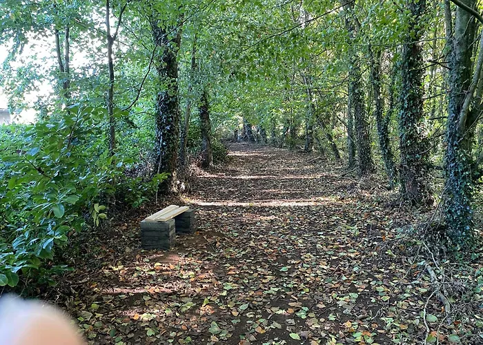Feriehus The Greenacre House Cashel (Tipperary)