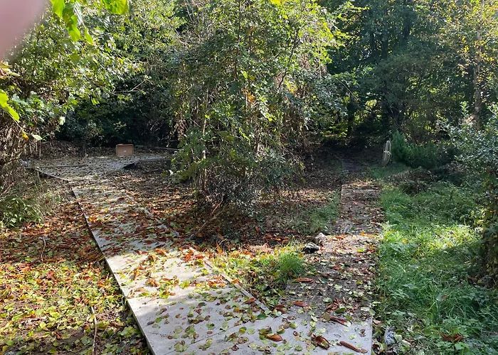 The Greenacre House 펜션 캐셜