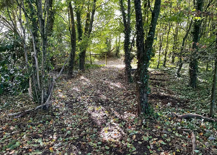 The Greenacre House *