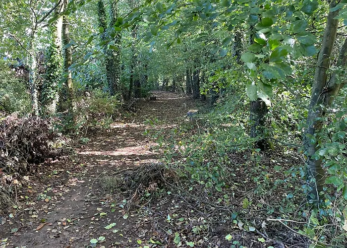 Feriehus The Greenacre House *