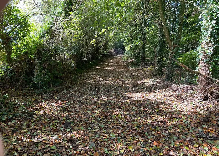 The Greenacre House *